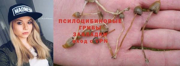 таблы Сясьстрой