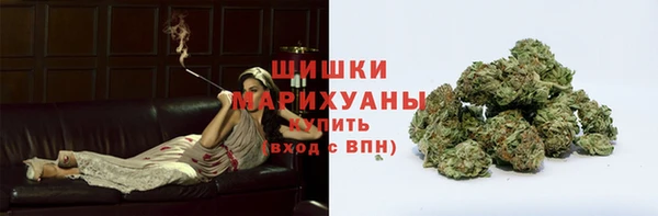 крисы Щучье