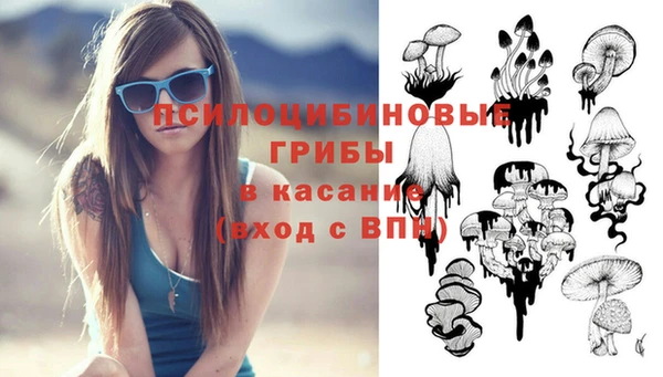 таблы Сясьстрой