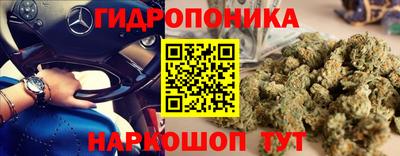 mdpv Будённовск