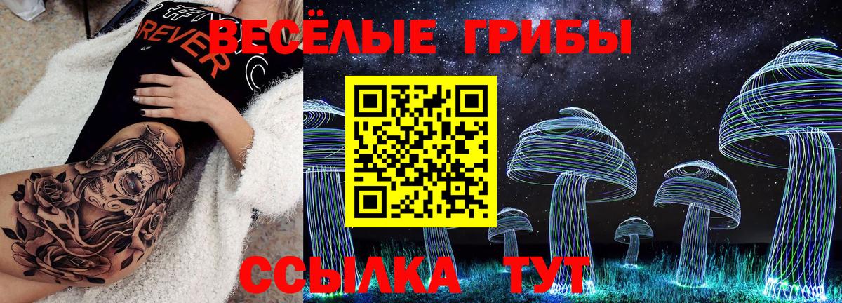 Галлюциногенные грибы Psilocybe  Галлюциногенные грибы Psilocybe  Ростов-на-Дону 