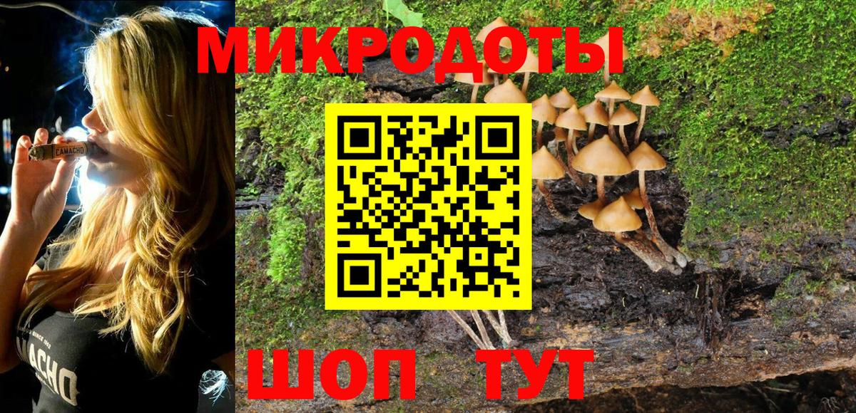 Псилоцибиновые грибы Psilocybe Ростов-на-Дону