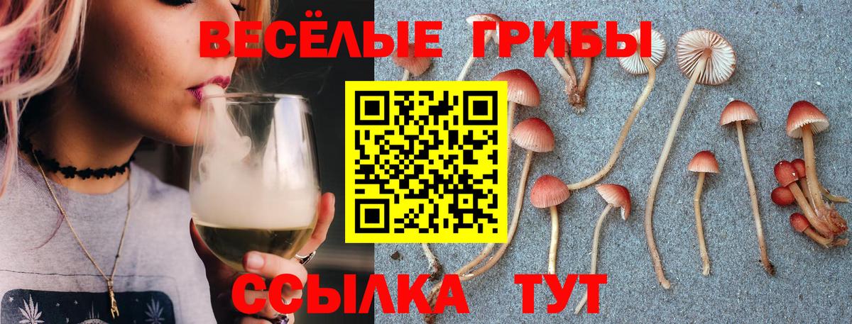 сколько стоит  Псилоцибиновые грибы GOLDEN TEACHER  Вход с VPN  Ростов-на-Дону 