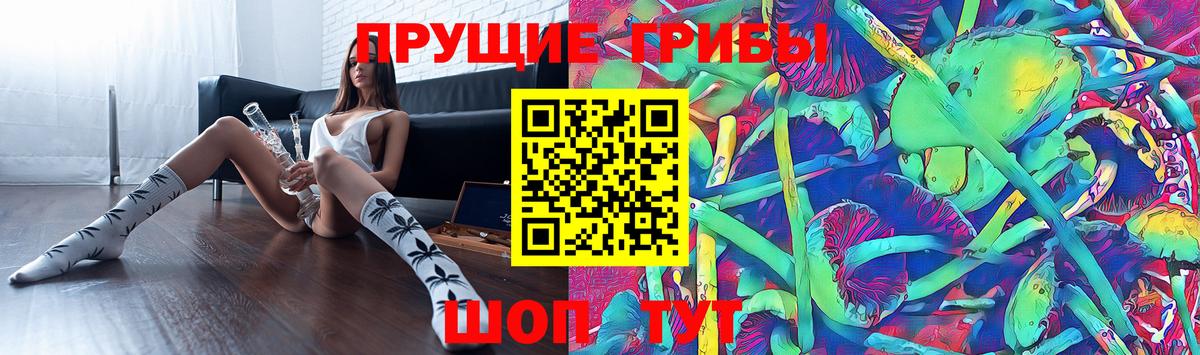 Псилоцибиновые грибы Psilocybine cubensis Ростов-на-Дону